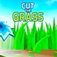Cut Grass Race Against Time to Mow the Lawn